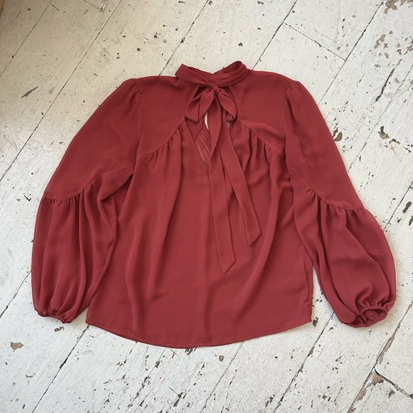 Express Rust Sheer Balloon Puff Sleeve Dress Work Shirt Blouse Top - Picture 5 of 13